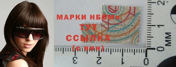 прущий лед Горняк
