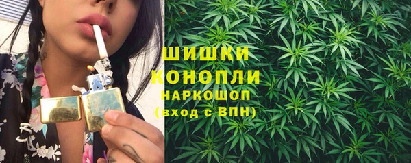 прущий лед Горняк