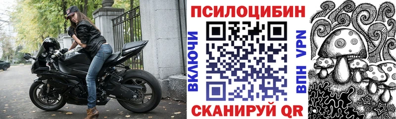 Псилоцибиновые грибы Psilocybe  Октябрьск 